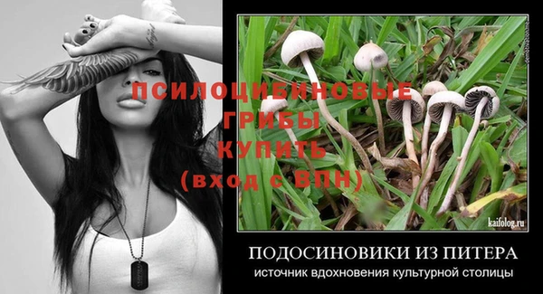 амф Абаза