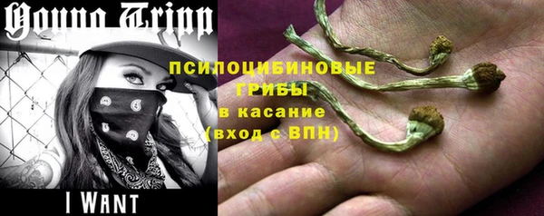амф Абаза