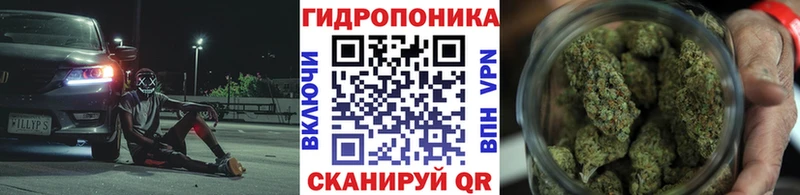 МЕГА ТОР  Духовщина  Бошки марихуана планчик 